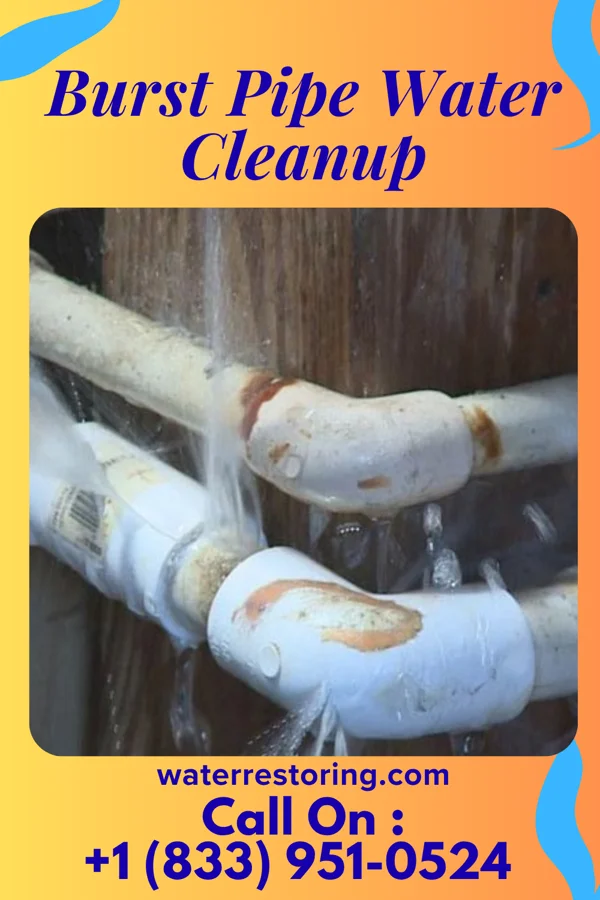 Burst Pipe Water Cleanup in Weyauwega, WI