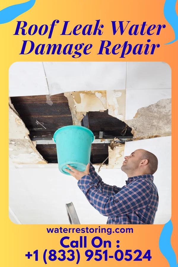 Roof Leak Water Damage Repair in Weyauwega, WI