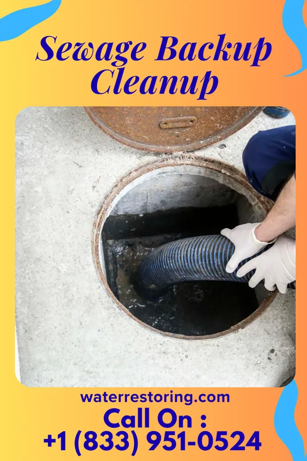 Sewage Backup Cleanup in Weyauwega, WI