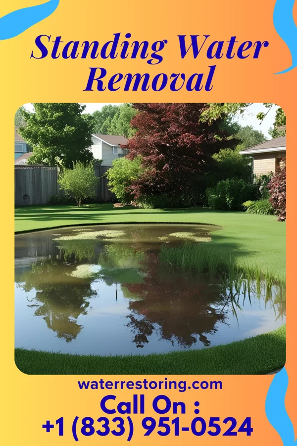 Standing Water Removal in Weyauwega, WI